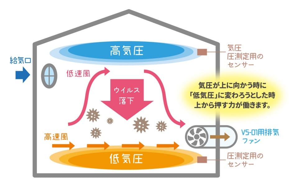 VS-01 機能性・排菌イメージ図